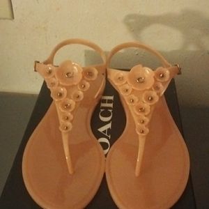 Coach Jelly Sandal 10B Peony/Rose